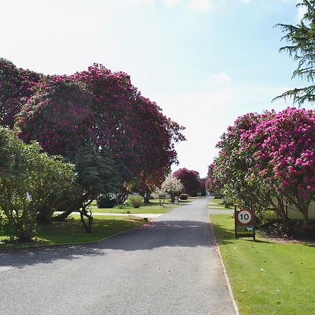 Trebah - B5623 Villa Saint Cleer Luaran gambar