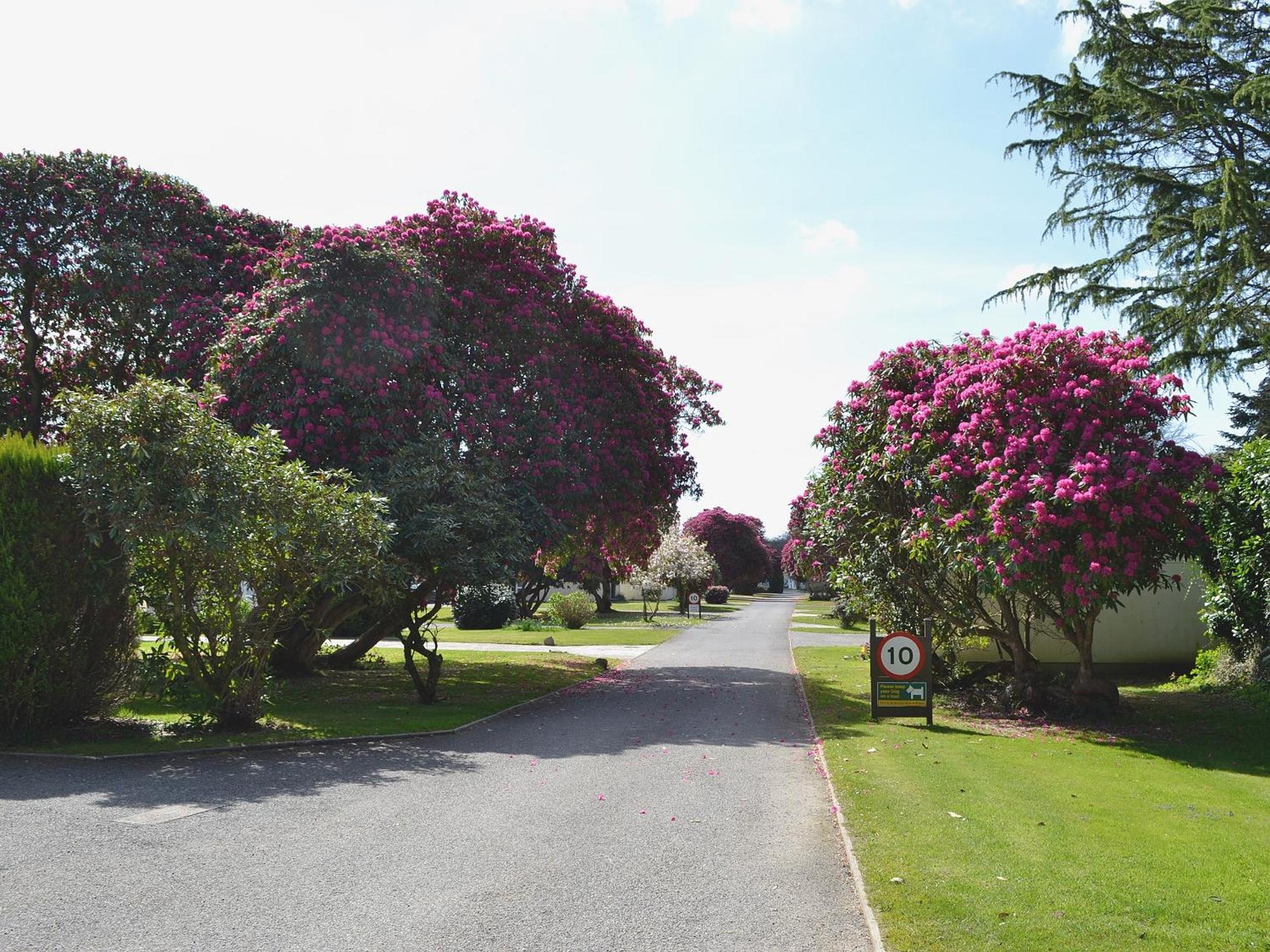 Trebah - B5623 Villa Saint Cleer Luaran gambar